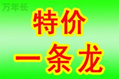 富阳浙江省杭州市富阳区墓地购买条件及使用年限